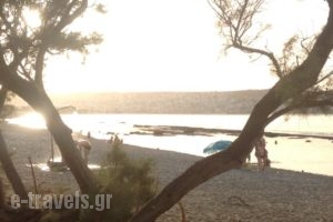 Hotel Petras Beach_holidays_in_Hotel_Crete_Lasithi_Sitia