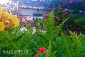 Angelika_best deals_Hotel_Dodekanessos Islands_Leros_Leros Rest Areas