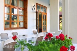 Philoxenia Hotel_lowest prices_in_Hotel_Aegean Islands_Thasos_Thasos Chora