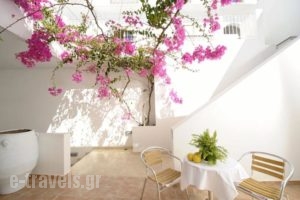 Glaros Hotel Apartment_best deals_Apartment_Crete_Rethymnon_Plakias