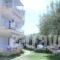 Studios Kaintas_best deals_Hotel_Macedonia_Halkidiki_Kassandreia