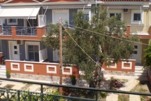 Irini Apartments Anaxos_accommodation_in_Apartment_Aegean Islands_Lesvos_Petra