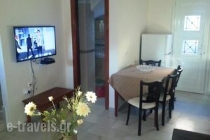 Irini Apartments Anaxos_best prices_in_Apartment_Aegean Islands_Lesvos_Petra