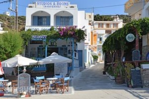 Maistrali Studios_lowest prices_in_Hotel_Dodekanessos Islands_Karpathos_Diafani