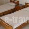 Ankypy Studios_travel_packages_in_Central Greece_Evia_Kymi