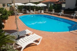 Elena Studios_lowest prices_in_Hotel_Sporades Islands_Alonnisos_Alonissosora