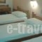 Paradise Hotel_best deals_Hotel_Dodekanessos Islands_Kos_Kos Chora