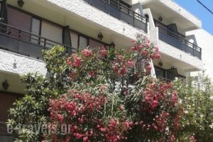 Paradise Hotel_travel_packages_in_Dodekanessos Islands_Kos_Kos Chora