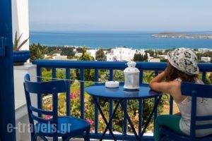 Aloe_holidays_in_Hotel_Cyclades Islands_Paros_Paros Chora