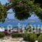 Aloe_best prices_in_Hotel_Cyclades Islands_Paros_Paros Chora