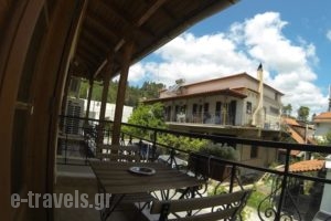 Anesi Rooms To Rent_lowest prices_in_Room_Peloponesse_Ilia_Olympia