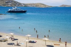 Manis Inn_travel_packages_in_Cyclades Islands_Paros_Paros Chora