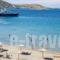 Manis Inn_travel_packages_in_Cyclades Islands_Paros_Paros Chora