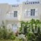Villa Katerina Studios & Apartments_accommodation_in_Villa_Cyclades Islands_Syros_Syrosora