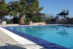 Villa Gorgona_accommodation_in_Villa_Piraeus Islands - Trizonia_Spetses_Spetses Chora