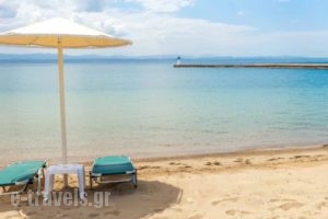 Palmariva Beach Bomo Club_holidays_in_Hotel_Central Greece_Evia_Eretria