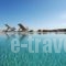 Iliada_best prices_in_Hotel_Cyclades Islands_Mykonos_Elia
