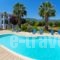 Nikos Studios and Apartments_travel_packages_in_Ionian Islands_Kefalonia_Kefalonia'st Areas