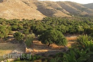 Pedi Beach Hotel_best deals_Hotel_Dodekanessos Islands_Simi_Symi Rest Areas