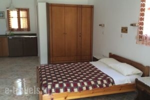 Mihalis Studios_lowest prices_in_Hotel_Dodekanessos Islands_Leros_Laki