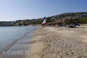 Camping Koula_travel_packages_in_Cyclades Islands_Paros_Paros Chora