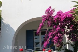 Silver Rocks Hotel_lowest prices_in_Hotel_Cyclades Islands_Paros_Paros Chora