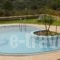 Villa Chrysa_accommodation_in_Villa_Crete_Chania_Fournes