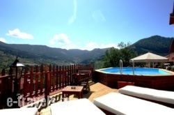 Archontiko Metsovou Luxury Boutique Hotel in Metsovo, Ioannina, Epirus