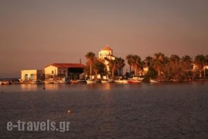 Eleftheria'S Studios_travel_packages_in_Piraeus Islands - Trizonia_Trizonia_Trizonia Rest Areas