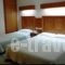 Katerina Hotel_holidays_in_Hotel_Macedonia_Kozani_Kozani City