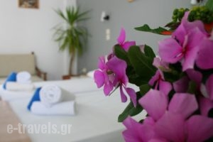 George Apartments_holidays_in_Apartment_Dodekanessos Islands_Tilos_Livadia