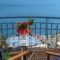 Olive Bay Hotel_accommodation_in_Hotel_Ionian Islands_Kefalonia_Aghia Efimia