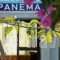 Ipanema Hotel_accommodation_in_Hotel_Dodekanessos Islands_Kos_Kos Rest Areas