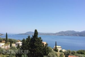 Sofia ApartHotel_lowest prices_in_Hotel_Ionian Islands_Lefkada_Lefkada Rest Areas