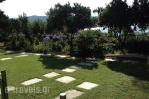 Villa Yiannis_lowest prices_in_Villa_Sporades Islands_Skiathos_Skiathoshora