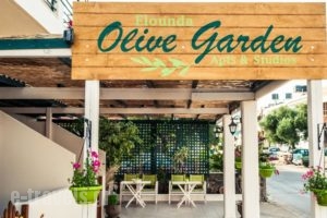 Elounda Olive Garden Apts & Studios_accommodation_in_Hotel_Crete_Lasithi_Aghios Nikolaos