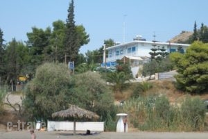 Barbouna Hotel_best deals_Hotel_Peloponesse_Argolida_Tolo