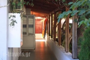 Galanis Studios and Apartments_lowest prices_in_Apartment_Thessaly_Larisa_Ambelakia