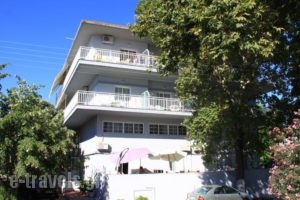 Galanis Studios and Apartments_best prices_in_Apartment_Thessaly_Larisa_Ambelakia