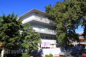 Galanis Studios and Apartments_accommodation_in_Apartment_Thessaly_Larisa_Ambelakia