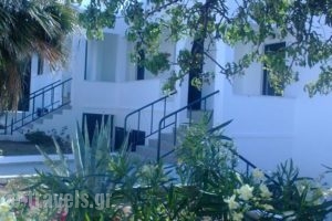 Moscha Studios_accommodation_in_Hotel_Cyclades Islands_Andros_Batsi