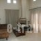 Erofili Villas_best deals_Villa_Ionian Islands_Kefalonia_Vlachata