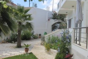 Lion-Suites_best deals_Hotel_Crete_Chania_Kalyves