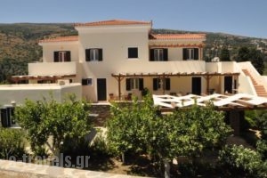 Handakas Studios_holidays_in_Hotel_Cyclades Islands_Andros_Andros City