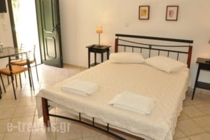 Handakas Studios_lowest prices_in_Hotel_Cyclades Islands_Andros_Andros City