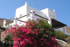 Villas Kappas_holidays_in_Villa_Cyclades Islands_Mykonos_Tourlos