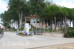 Hotel Dioni in Feres, Evros, Thraki