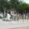 Hotel Dioni_accommodation_in_Hotel_Thraki_Rodopi_Komotini City