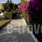 Oceanides Apartments_best prices_in_Apartment_Crete_Lasithi_Sitia