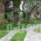 Athina Rooms_best deals_Room_Thessaly_Magnesia_Pilio Area